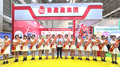 ���ƏV���ݴ�������